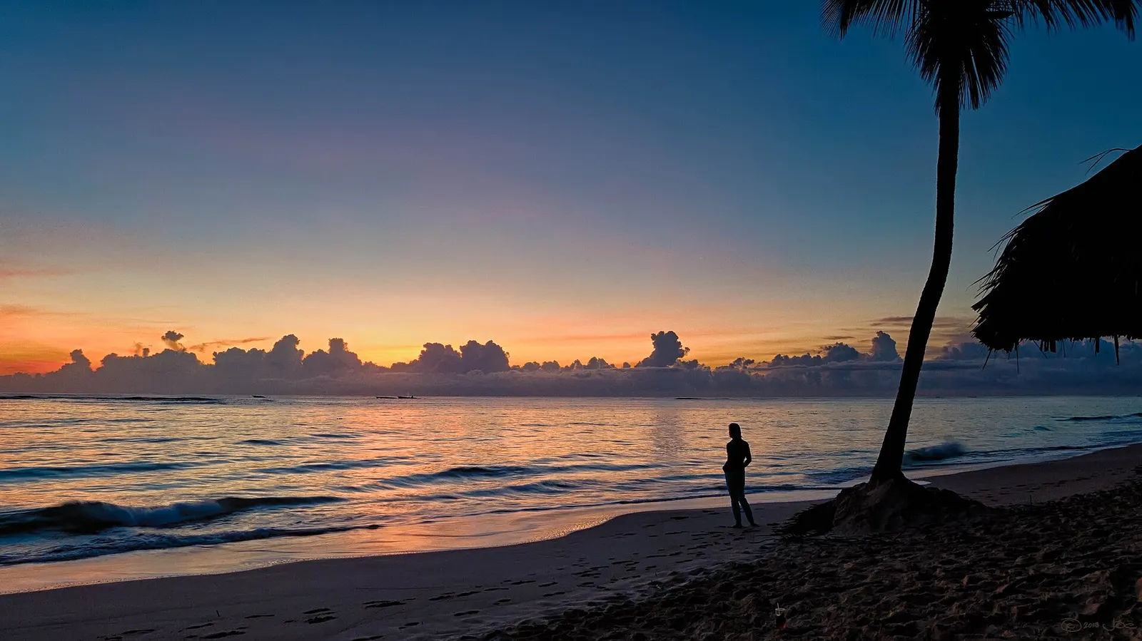 Best Time to Visit Punta Cana: Weather, Crowds & Prices