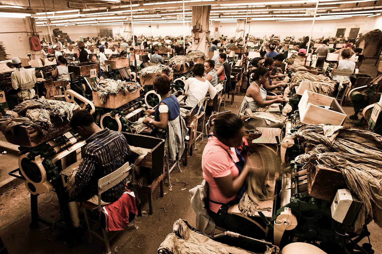 Shopping in Punta Cana: Souvenirs, Cigars, Rum & Markets
