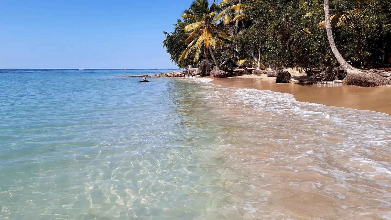 Samaná Peninsula Beaches: Las Terrenas, Bonita, Rincón & Las Galeras