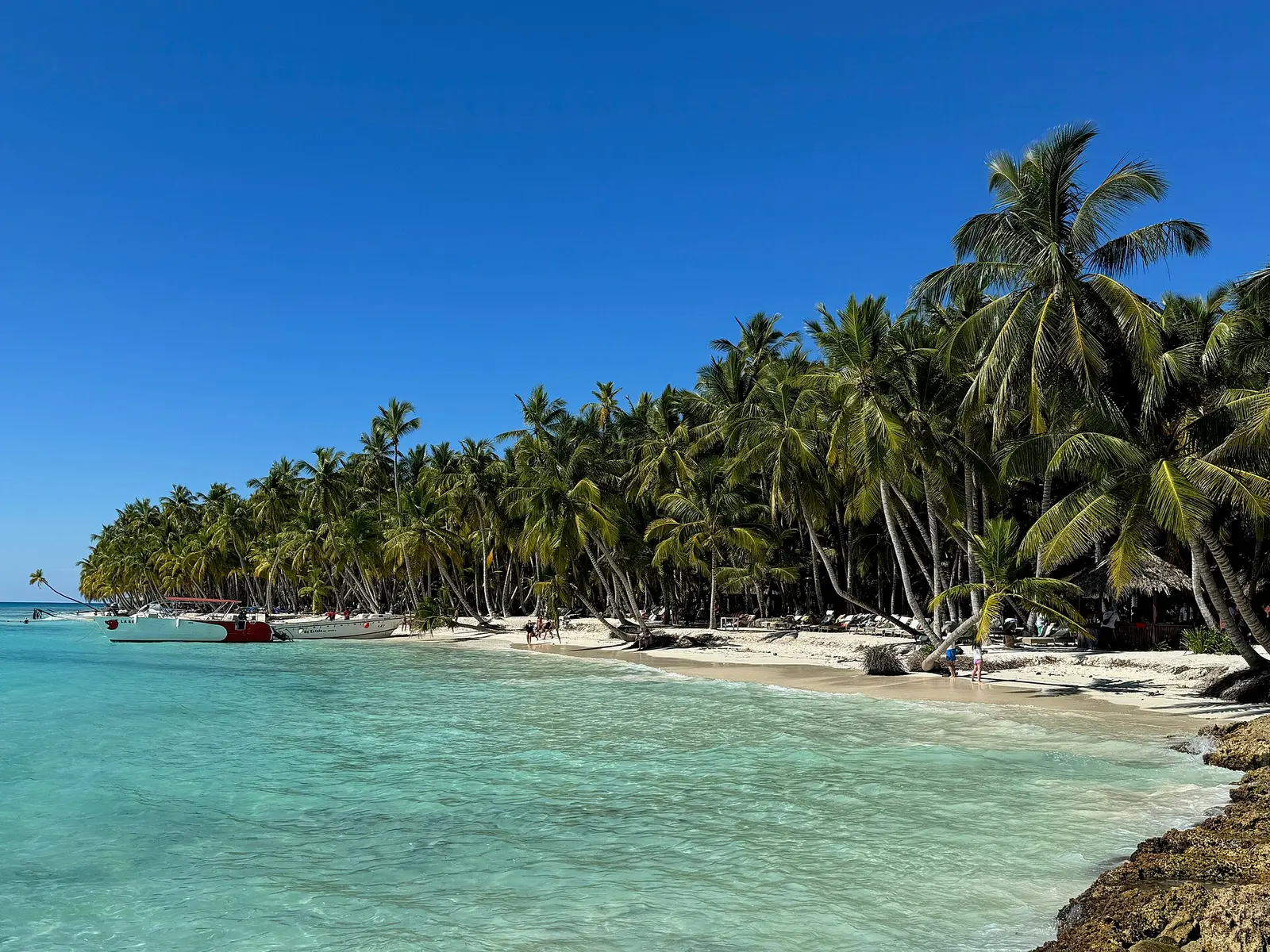 Isla Saona Catamaran Tour